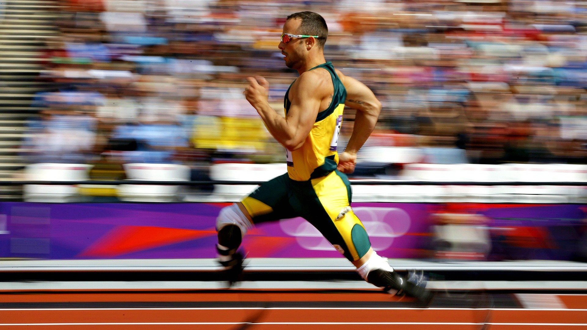 山东队轻取上海队，福克斯高光表现引爆全场